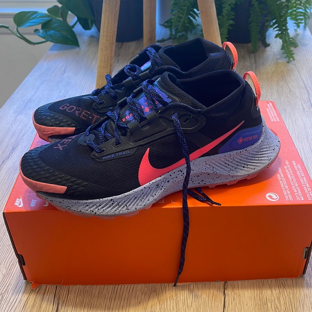 Nike Pegasus trail 3 GTX
